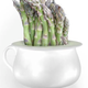 Illustration for article titled Asparagus smell — wee progress